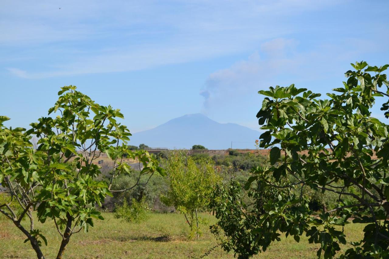 Elena House Castelluccio Villa Agnone Bagni Buitenkant foto